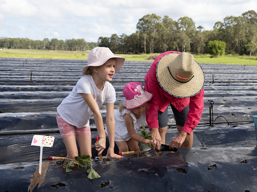 Sweet opportunity to experience farm life